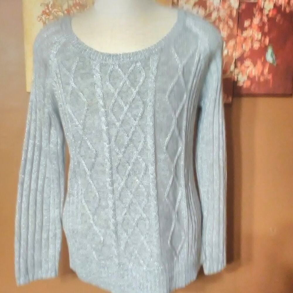 Apt 9 Women's Sweater Silver Metallic Size L Cable